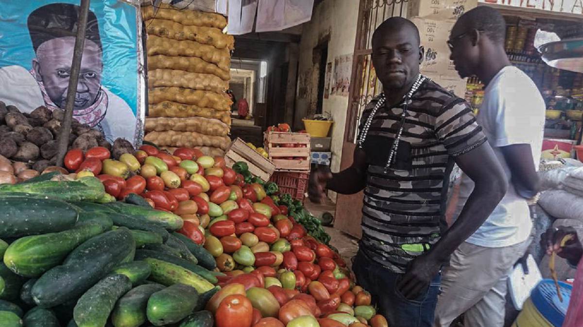 La ‘app’ senegalesa que revoluciona el comercio de productos agrícolas