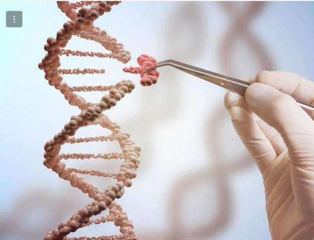 El futuro de la humanidad, en tus manos