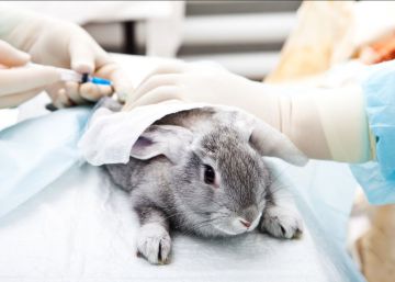 Comprueba adónde llevarían tus barreras éticas a la humanidad