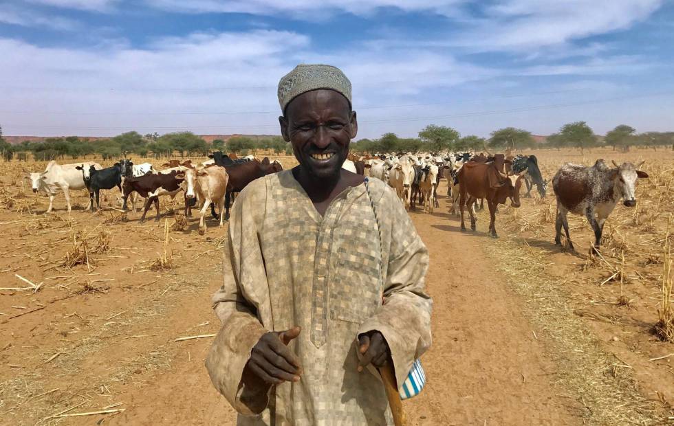 Un pastor Fulani con su ganado en Tillaberi, al sur de Níger.