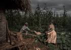 La deuda de los bosques escandinavos en el norte de Mozambique