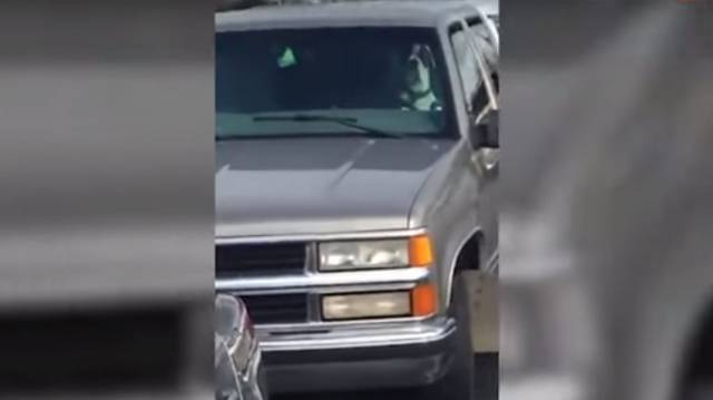 El ingenioso truco de un perro abandonado en el coche