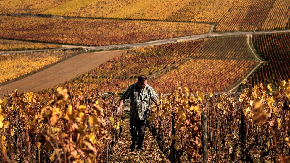 Los peligros del campo son hoy la soledad, la marginación social, la falta de atención y de servicios, el olvido.