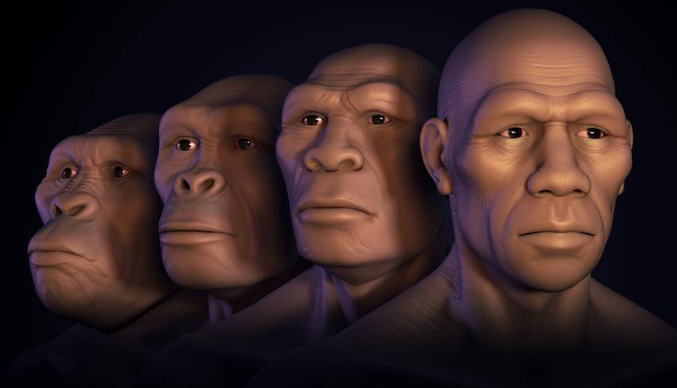 EvoluciÃ³n del ser humano