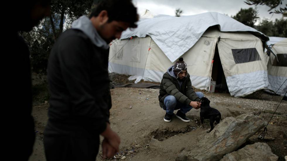 Un refugiado trata de calentarse y otro juega con un perro en el campo de Moria, a principios de diciembre.