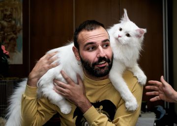 Participé en un concurso de belleza gatuna en un hotel de Alcorcón