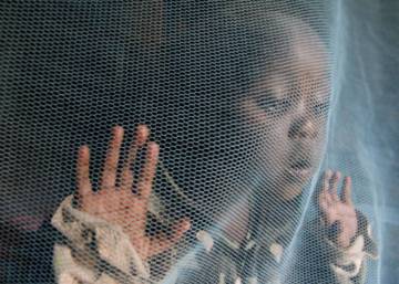 La lucha contra la malaria se estanca por falta de dinero
