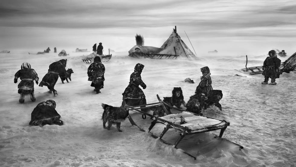 Los nenets montan su tienda o tchoum al norte del río Obi, en la península de Yamal, en Siberia (Rusia).