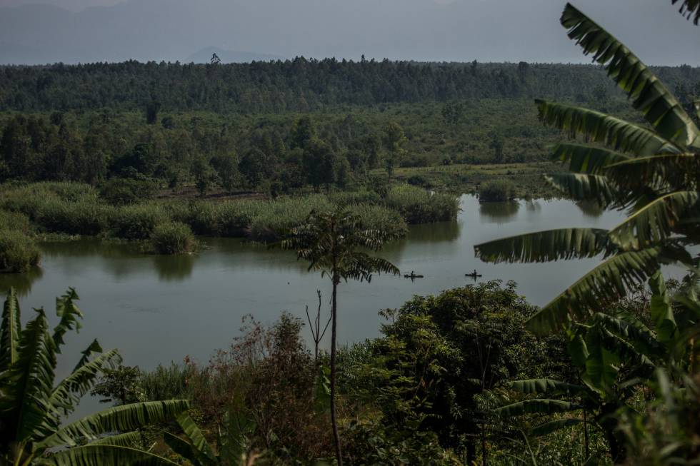 El parque nacional de Virunga, entre Ruanda, Uganda y la República Democrática del Congo.