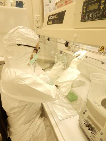 A pesquisadora Åshild J. Vågene e seus colegas criaram um novo sistema para detectar DNA antigo de agentes patogênicos