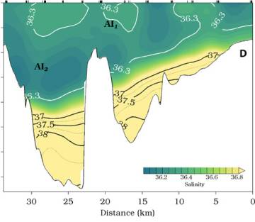 Sección que muestra la mayor salinidad de la corriente mediterránea y cómo la orografía del fondo marino la condiciona y divide.