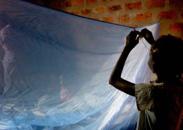 Nuevo plan para la investigación en malaria
