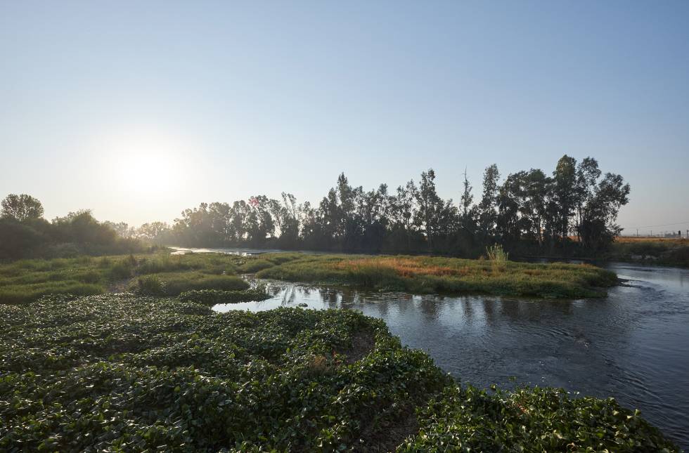 El río Guadiana a su paso por Guareña, cerca del yacimiento del Turuñuelo.