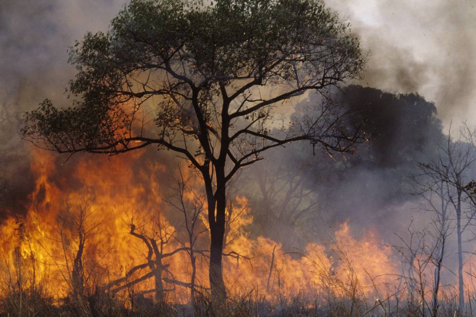 Un fuego provocado por pastores en República Centroafricana para despejar terreno para sus animales. 
