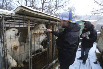 Gus Kenworthy junto a su novio Matthew Wilkas acarician a unos perros de una granja de carne en Corea del Sur.