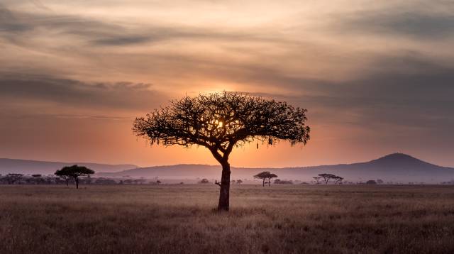 Imagen del parque nacional del Serengueti, en Tanzania