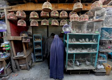 La necesidad del sentido