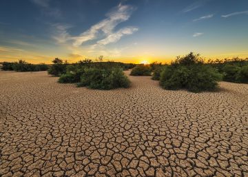 La malnutrición, a fondo