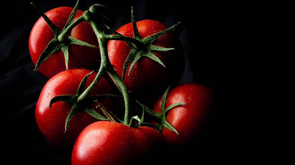 Renuncia a comer tomates en invierno y salva el planeta