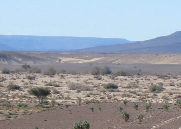 La amenaza de las migraciones climáticas
