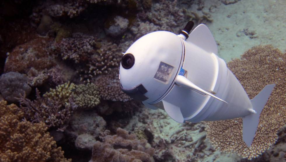 Sofi Un Pez Robot De Silicona Que Se Confunde Entre La Fauna Marina Ciencia El Pais