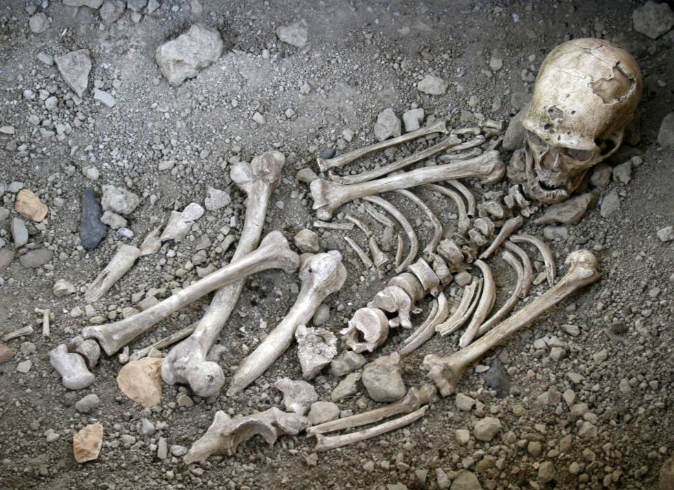 ReconstrucciÃ³n del enterramiento neandertal de La Chapelle-aux-Saints, Francia, el primero que se atribuyÃ³ a una especie distinta de los sapiens