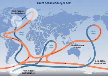 L circulación global o termohalina se inicia con el trasiego de aguas frías y cálidas en el Atlántico norte.