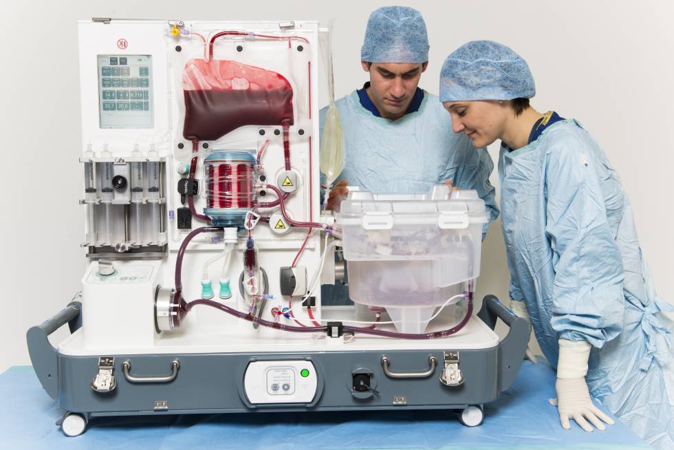 Dos personas observan un hÃgado en la máquina de perfusión 'OrganOx'.