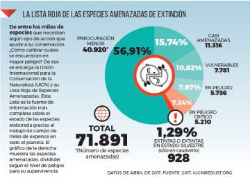 ¿Nos acercamos a la sexta extinción?