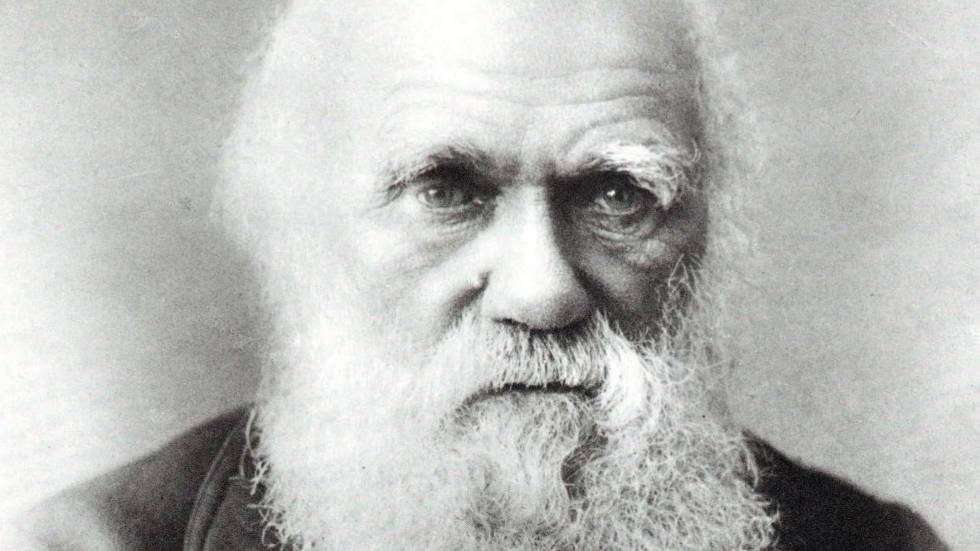 Reatrato de Charles Darwin.