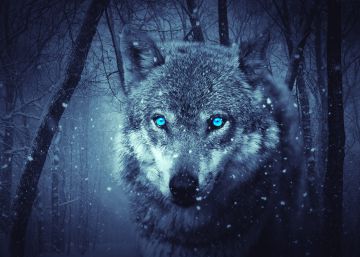 Déjenme tener un orgasmo en público