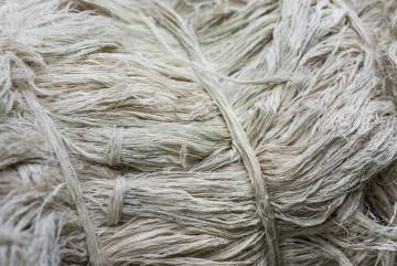 Sobre estas líneas, zapato fabricado con Piñatex, y muestras de las fibras de piña a partir de las que se obtiene el textil.