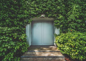 La universidad debate sobre el verde en las ciudades