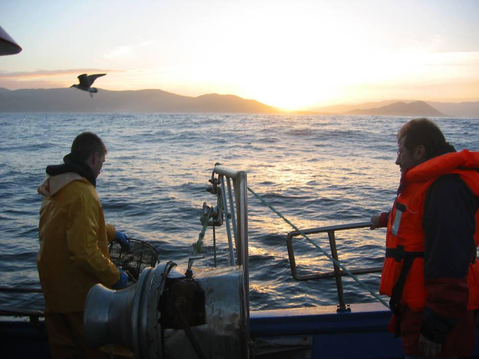 Pescadores de pulpos en la costa gallega.