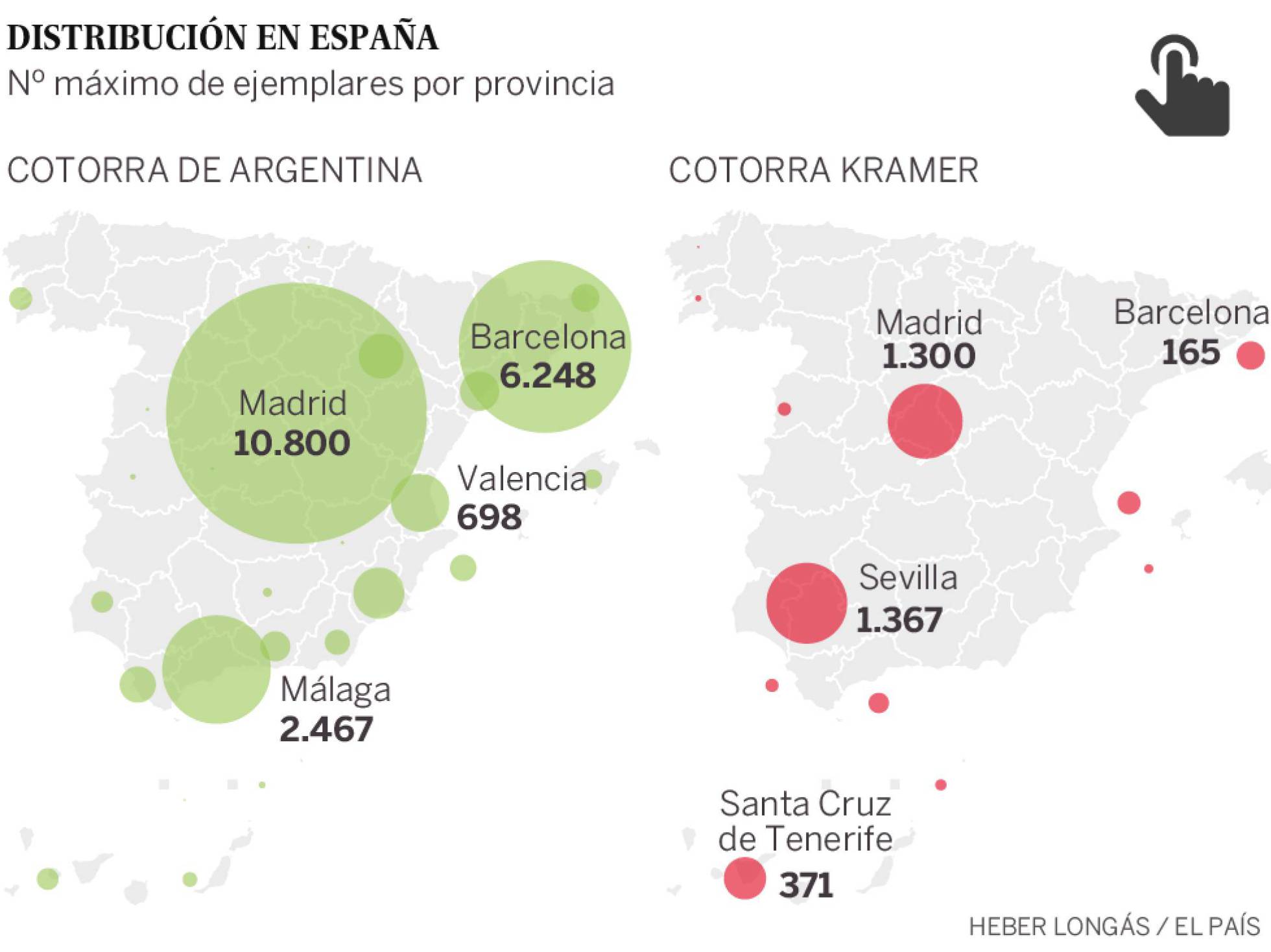 POTORRAS en España