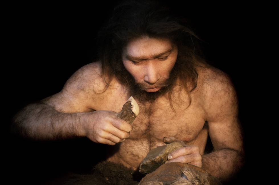 Reconstrucción de un 'Homo neanderthalensis'.