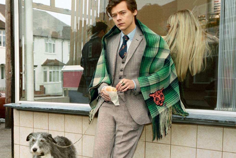 gucci harry