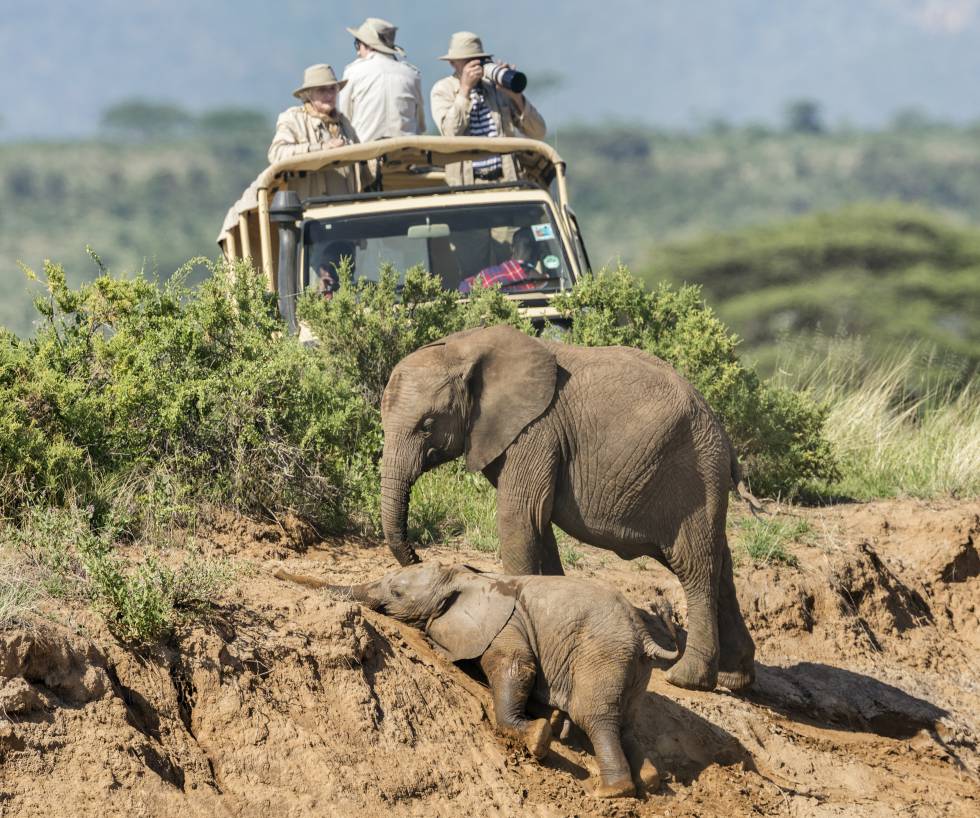 Kenya, Samburu National Reserve.