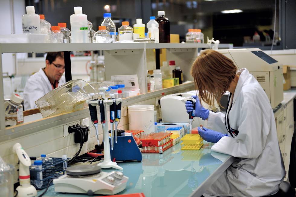 Investigadores trabajan en el desarrollo de un fármaco de la compañía francesa Genfit.