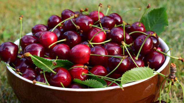 Cómo comprar las mejores cerezas y qué hacer con ellas