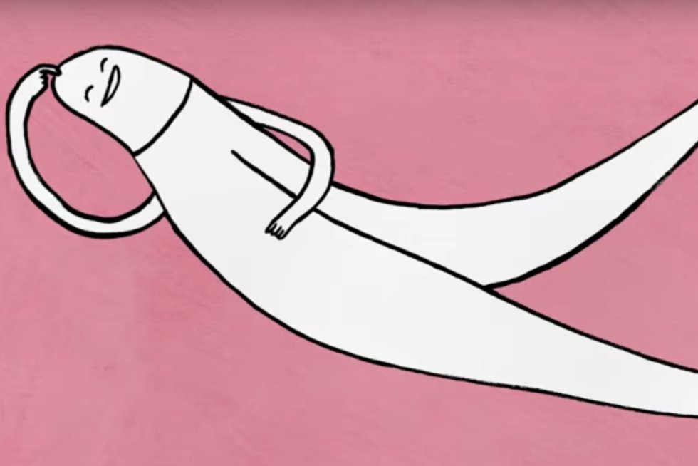 video sexual erección y frotamiento
