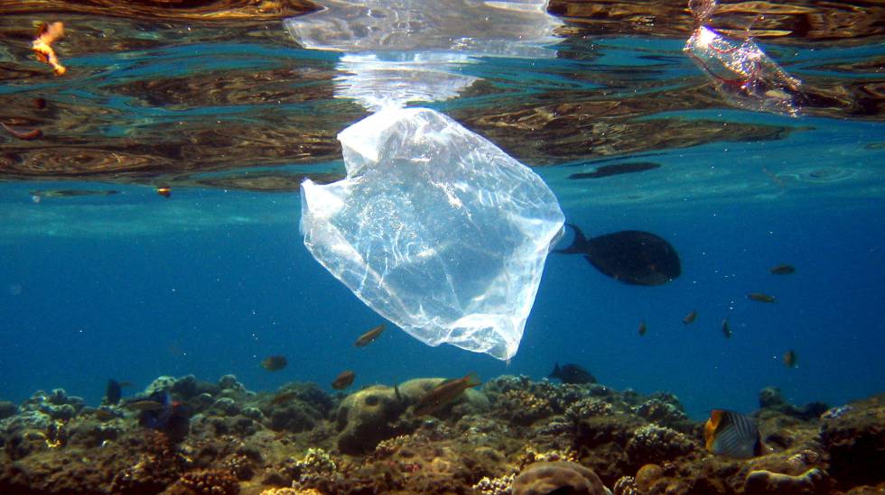 Resultado de imagen para plastico nos oceanos imagenes