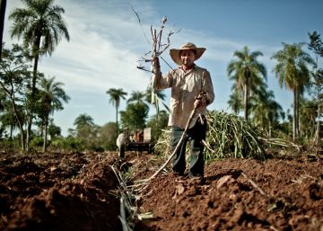 Comercio justo: un sueño posible