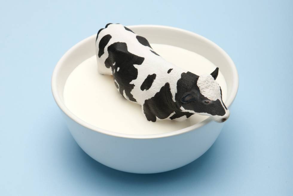 como se llama la proteina de la leche de vaca