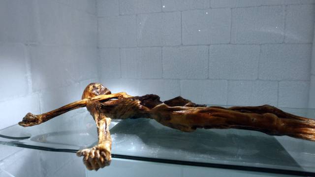 Momia de Ötzi.