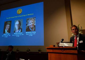 Los descubridores del ‘reloj interno’ del cuerpo, Nobel de Medicina de 2017