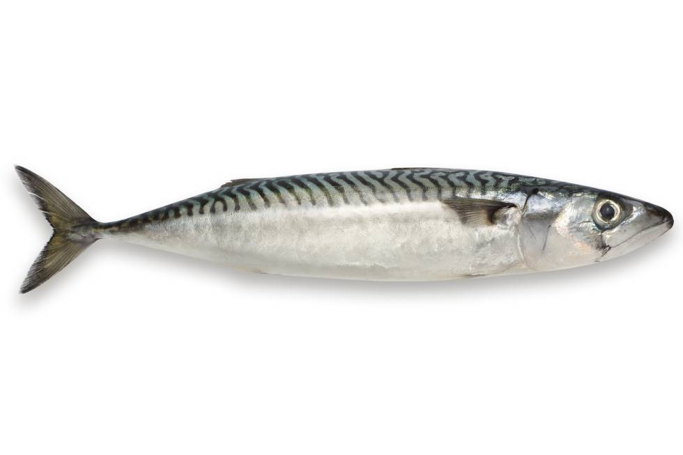para que sirve el omega 3 en embarazo