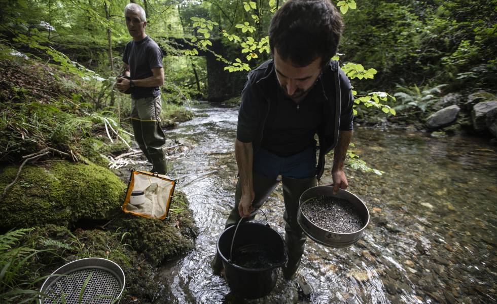 Aitor LarraÃ±aga y Arturo Elosegi (detrÃ¡s) toman muestras cientÃ­ficas en un afluente del rÃ­o Artikutza.