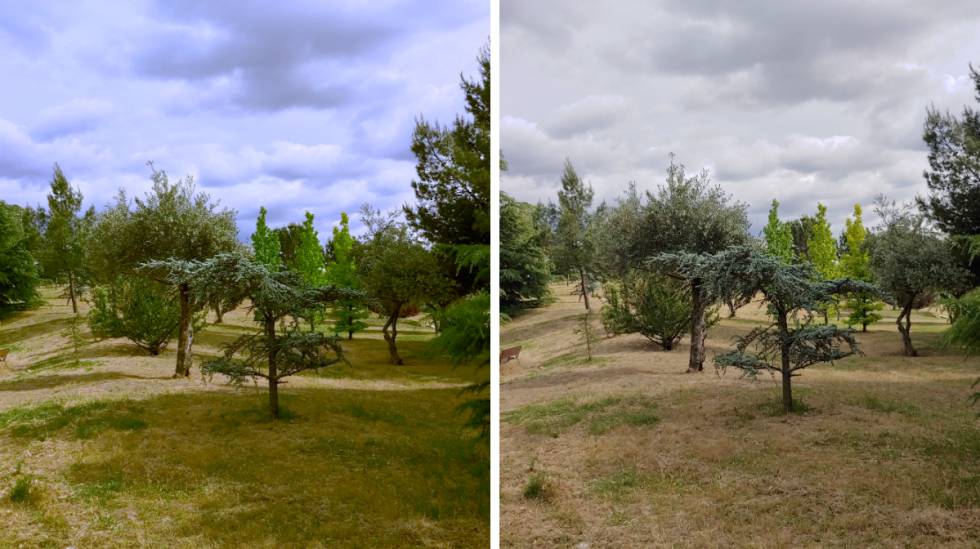 De izquierda a derecha, fotografía tomada con el modo IA CAM y con el modo normal de la cámara.