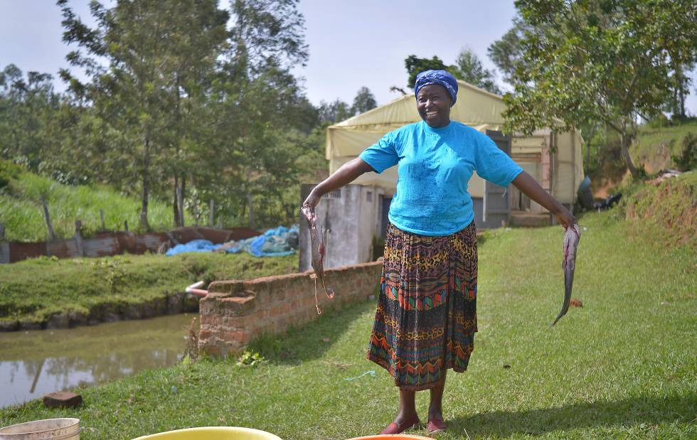 Joyce Makaka cultiva tilapias y peces gato en Lurambi, al oeste de Kenia.